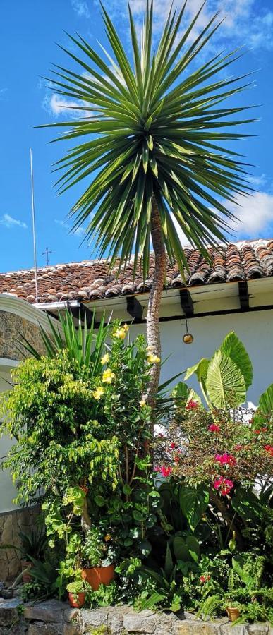 Hotel Posada Casa Juana San Cristobal de las Casas Luaran gambar